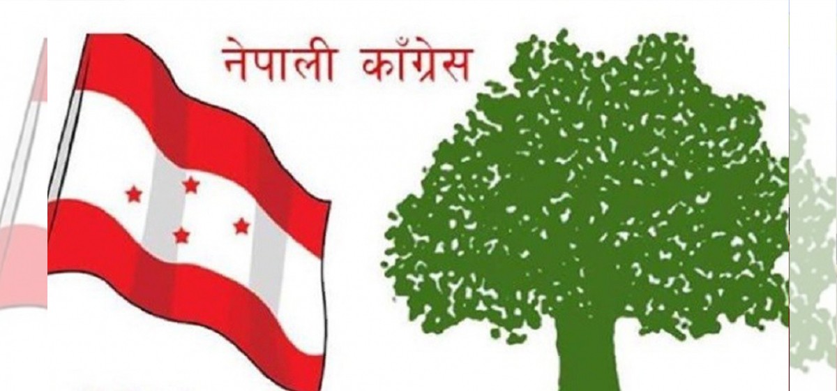 कांग्रेस महाधिवेशन : १९ क्षेत्रमा पुगेन क्रियाशील सदस्यता फारम