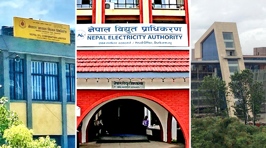 ४५ सार्वजनिक संस्थानमध्ये २७ नाफामा, १६ नोक्सानीमा